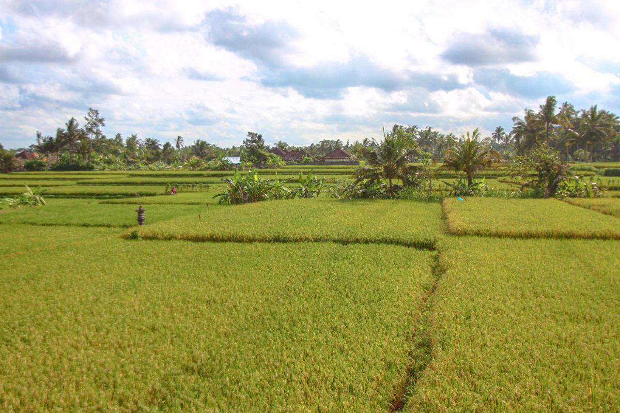 Kubu Sari Ubud Buitenkant foto